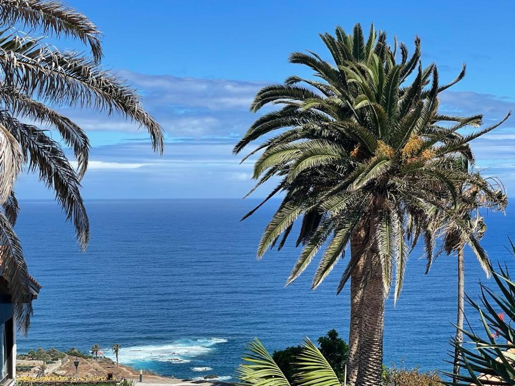 El Drago Apartment, Amazing Ocean & Cliff View Los Realejos Eksteriør bilde